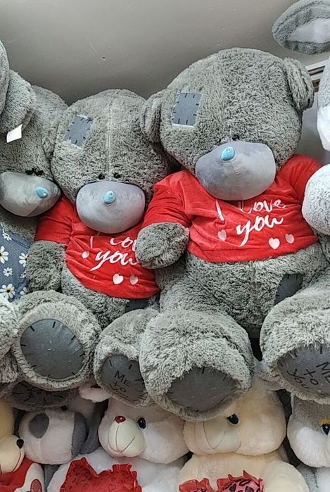 Teddy Teddi Teddiy OPTOM NARX