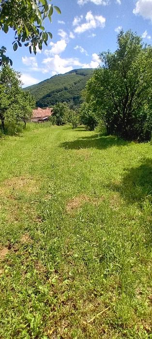 Teren 2700mp in Poiana Galdei