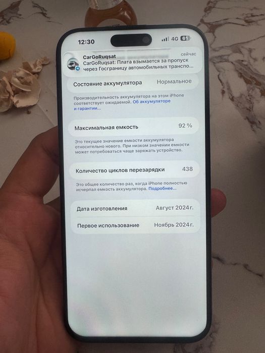 Айфон 16 про макс 256 гб