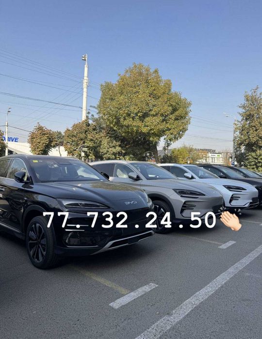 chempion byd chempion gibrit elektr optom narx