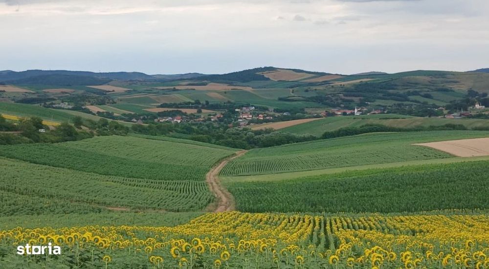 Casa in Camarasu-Cluj, utilitati, asfalt,  teren mare intravilan