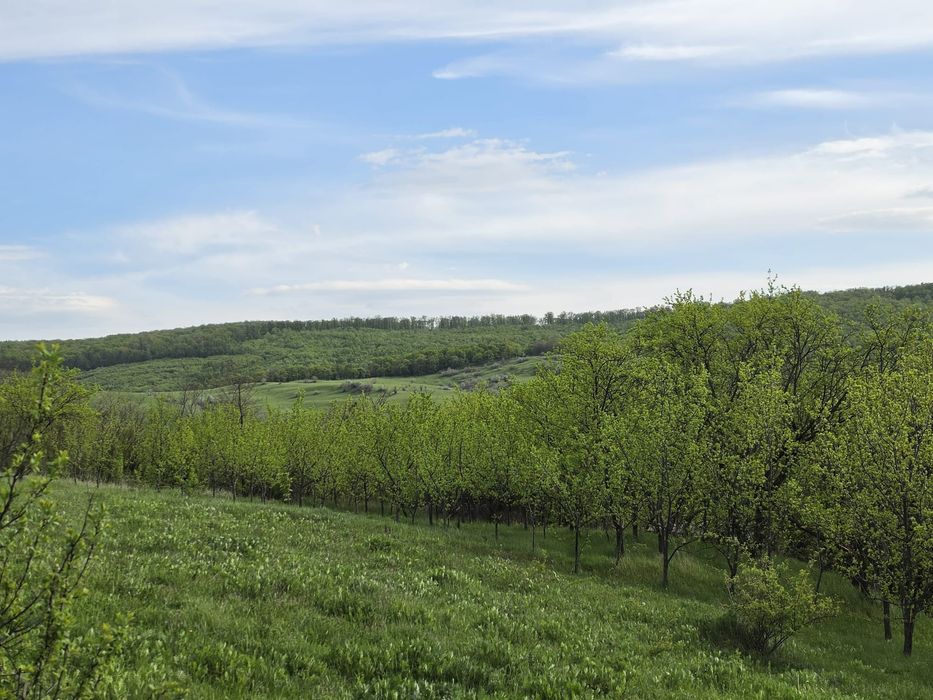 Teren intravilan 3200 mp Comuna Horlesti