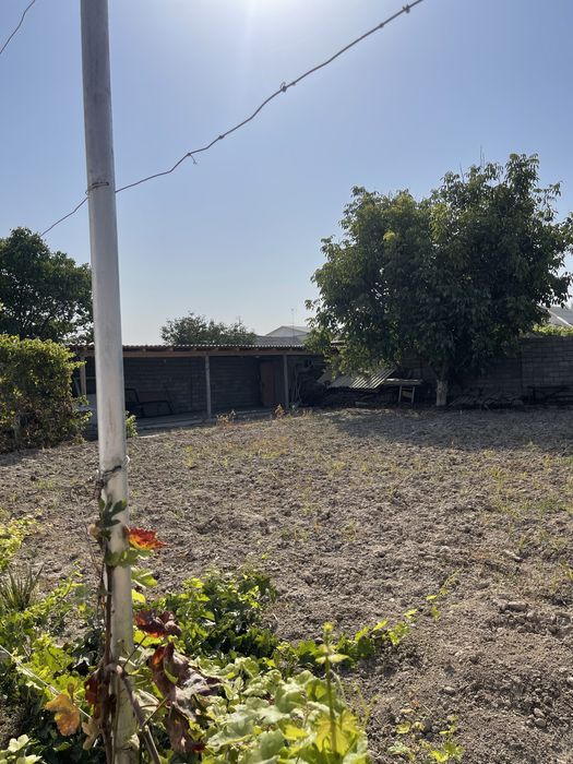 Nurafshon shahar obod mfy 28 uy