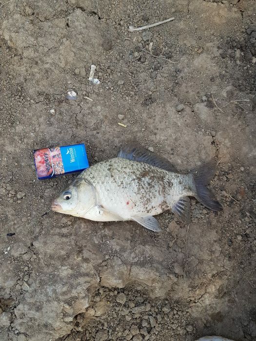 Рыбалка,выезд на рыбалку