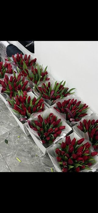 Тюльпаны оптом и в розницу