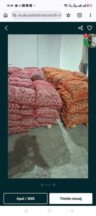 Vând cartofi de sămânță alb și roșu ne puteți găsi în piața la cepele