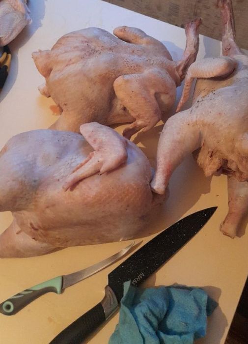 Продам мясо бролера