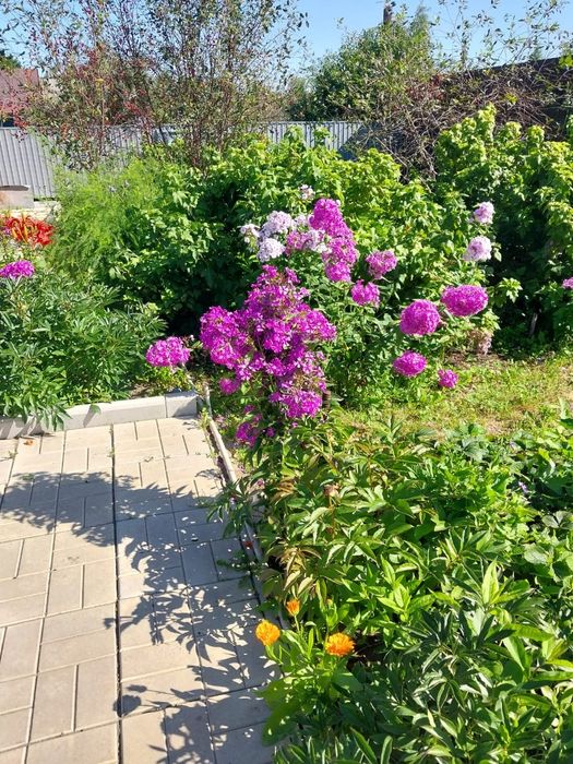 Продам дачу 7 соток