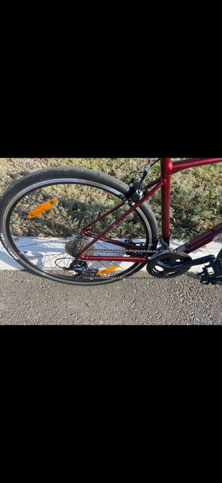 Шоссеник,Giant content 1