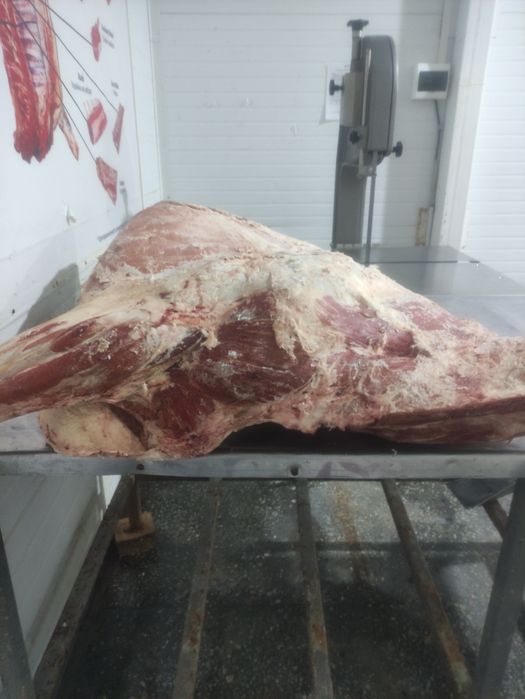 Продам мясо говядины