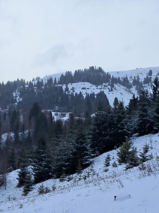 Teren la munte Ciocanu-Pestera-Bran-Moeciu