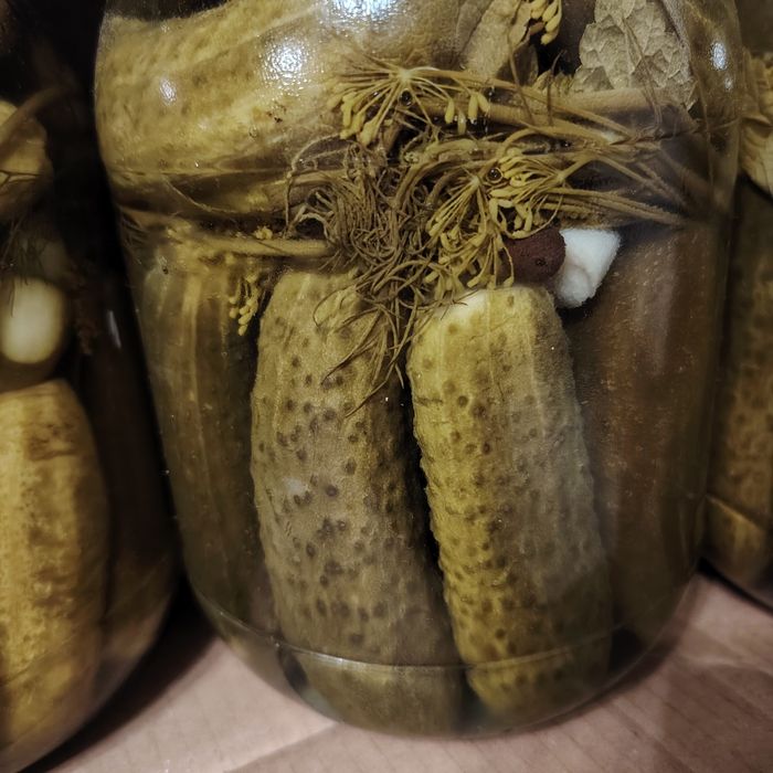 , Продам соления