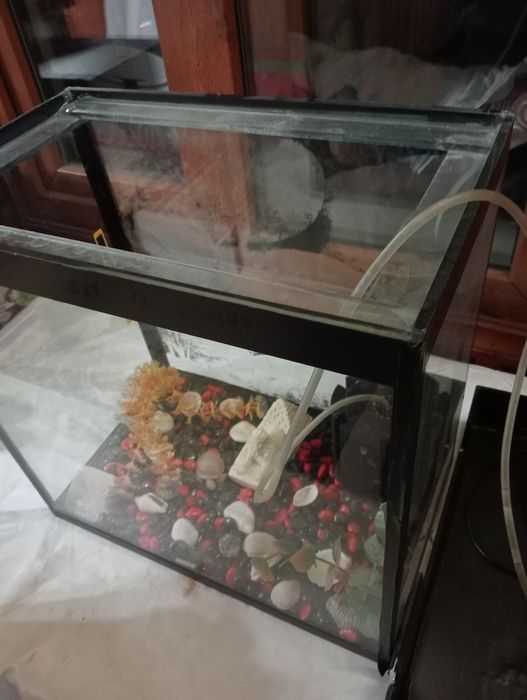 Продам аквариум без рыбок