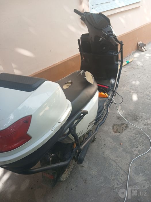 Bir kum kafolat beramiz albata
