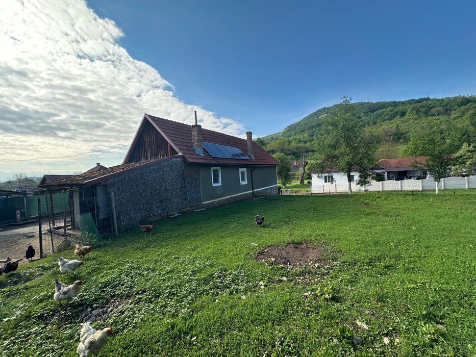 Casa la tara Tebea Hunedoara