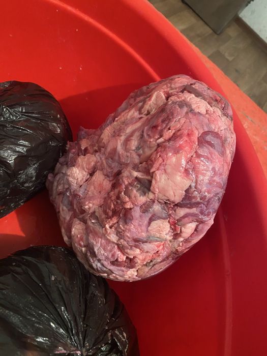 Говяжий мясо сиыр бас еты