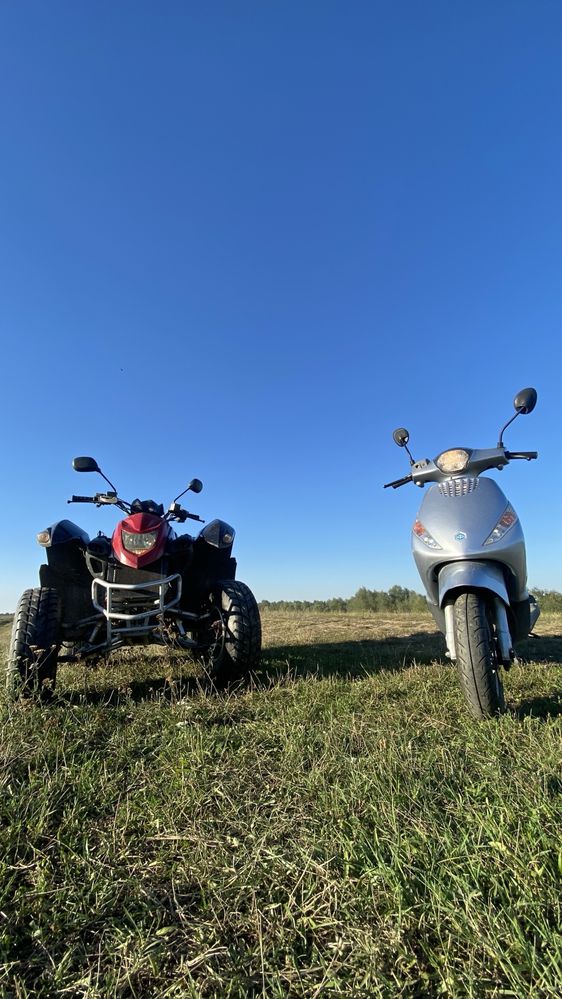 Scuter piaggio zip Timisoara • OLX.ro