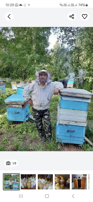 Срочно продается мед
