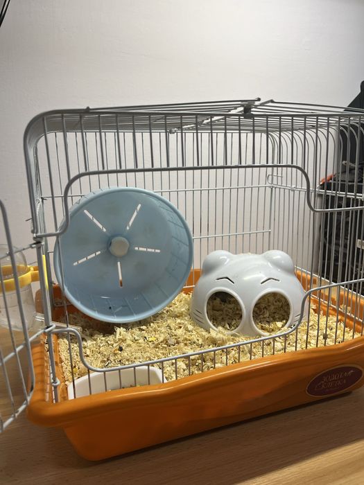 Джунгарский хомяк с клеткой