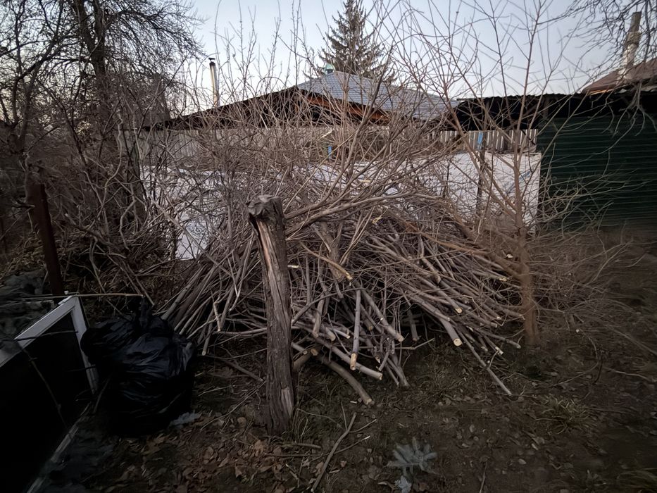 Отдам дрова бесплатно