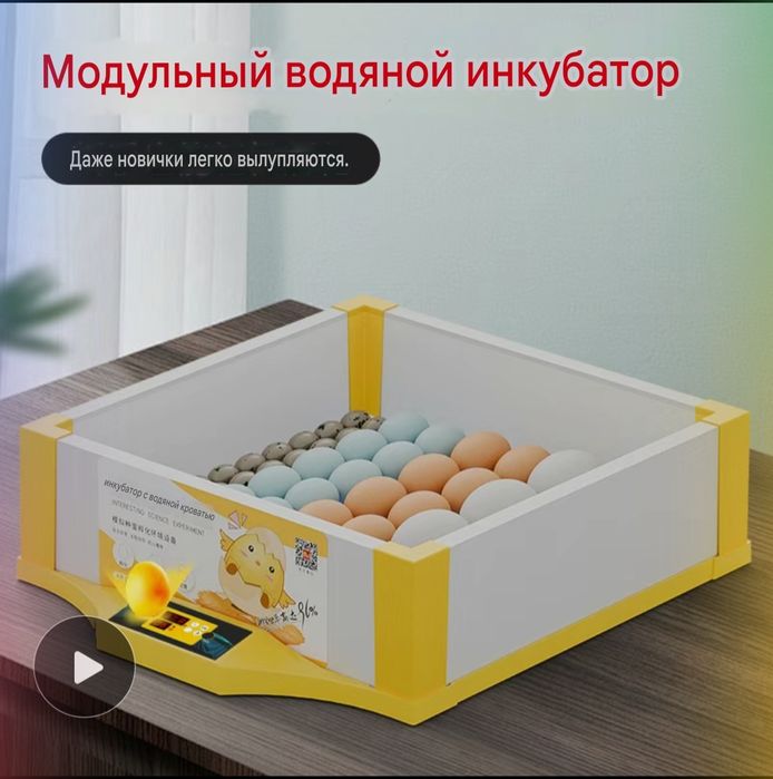 Модульный водяной инкубатор