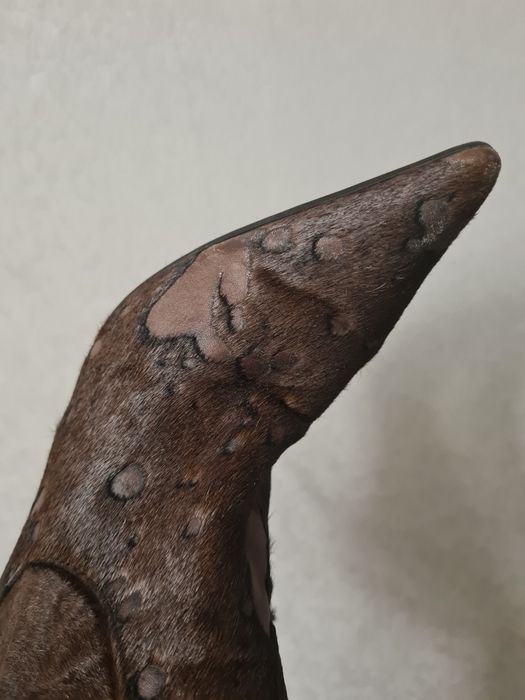 Сапоги женские натуральные