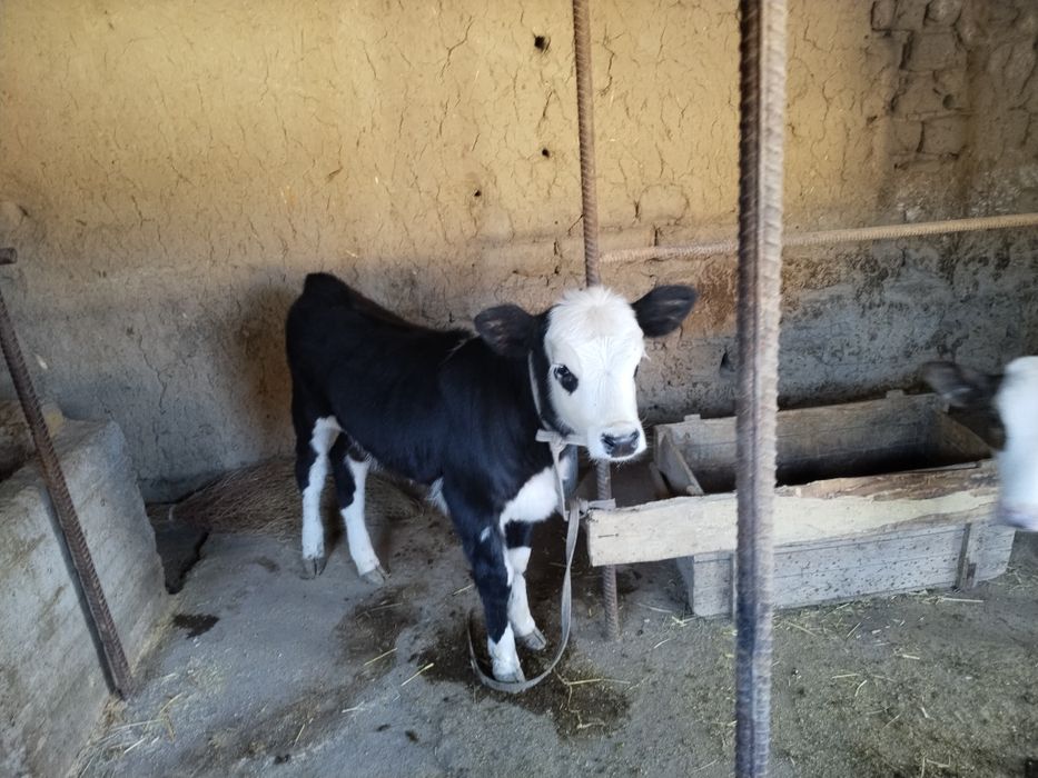 Panty fetish forum fotosurati