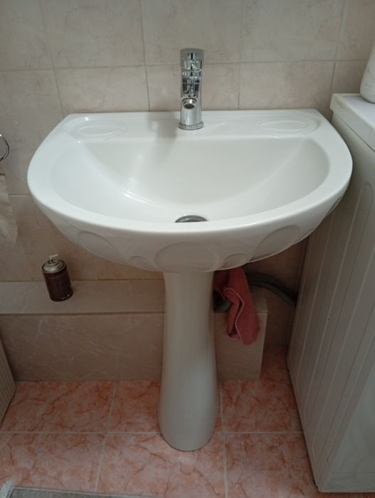 Раковина тюльпан