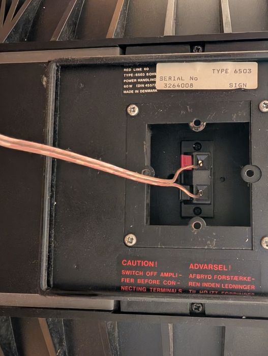 Boxe Bang&Olufsen Redline 60