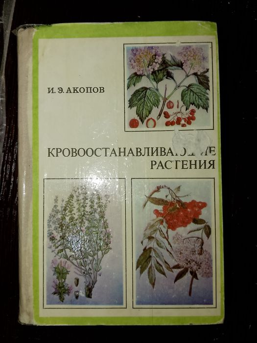 Цветоводство. Кактусы. Грибы.