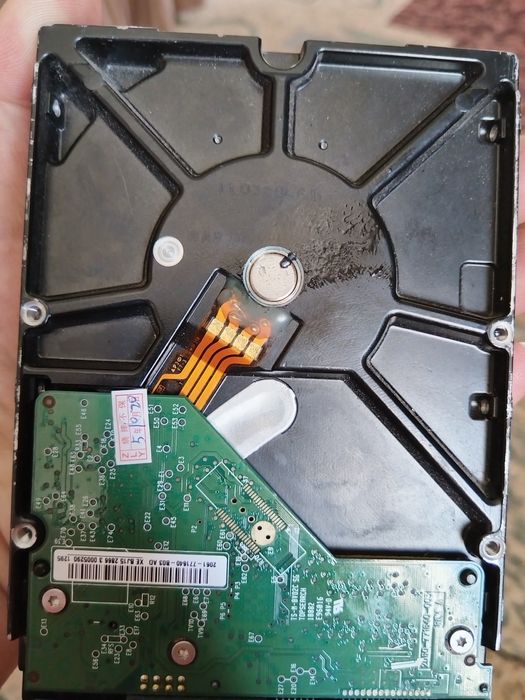 Western digital 500 gb