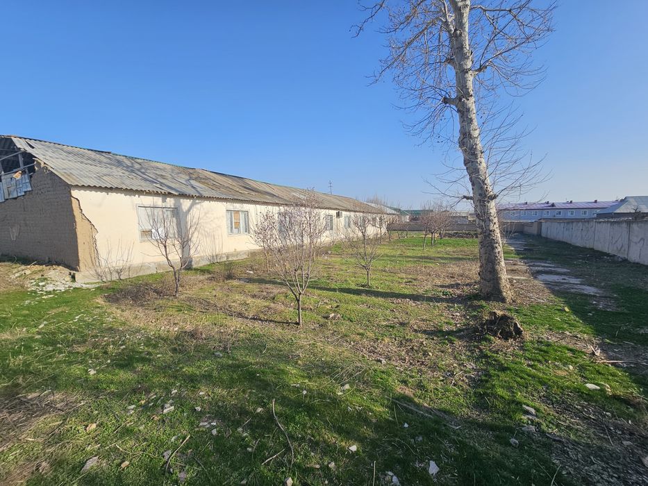 Zarbdor eski bustonda arzonga yer sotiladi