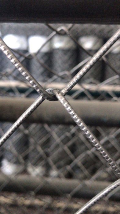 Сетка рябица по самым выгодным ценам