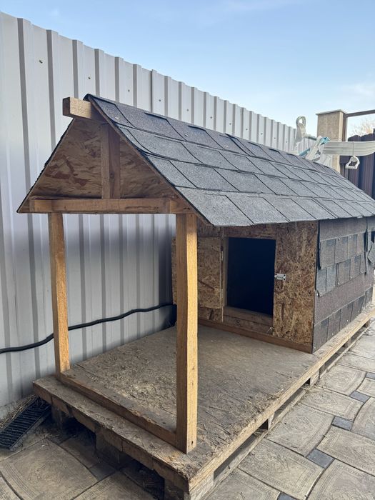 Бутка для собака