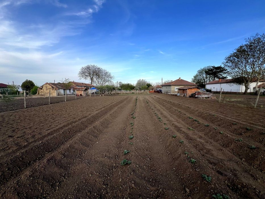 Продава се Парцел в с. Люляково, Област Добрич - 1200 кв.м за 3 €/кв.м - Снимка #1