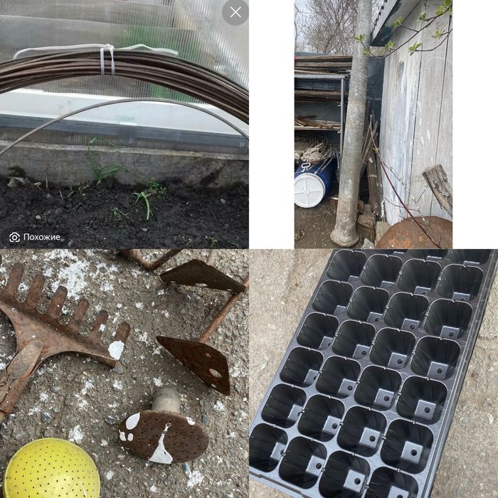 Лотки для рассады 10 поддонов плотные многоразовые