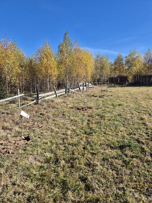 Teren Mărișel 1000mp