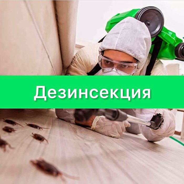 Акция от 7000тг! Дезинфекция! Уничтожение насекомых! - Дезинфекция ...