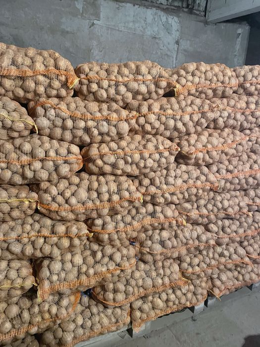 Cartofi consum Alb (0,7 lei) Vineta