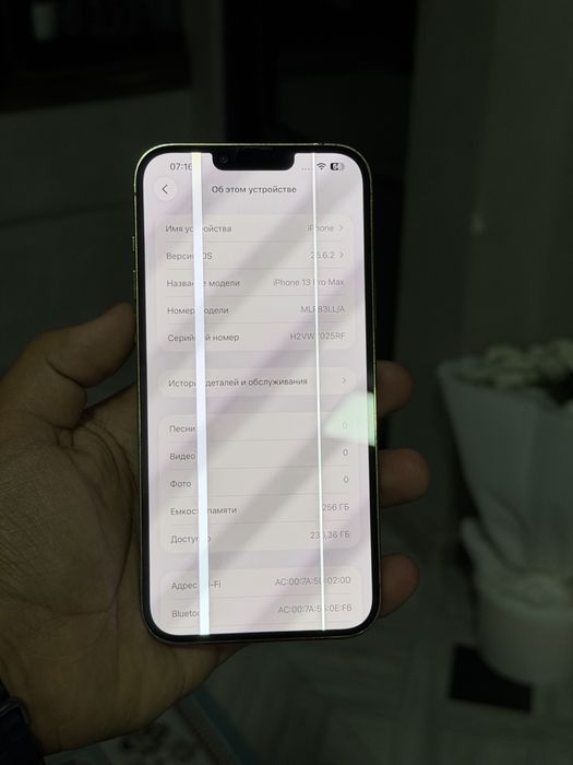 IPhone 13 Pro Max 256 gb