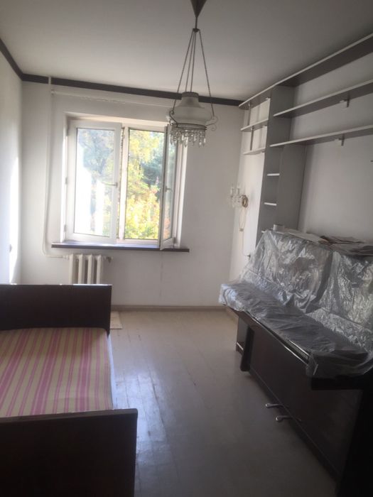 Кара камыше 1/2 Аренда