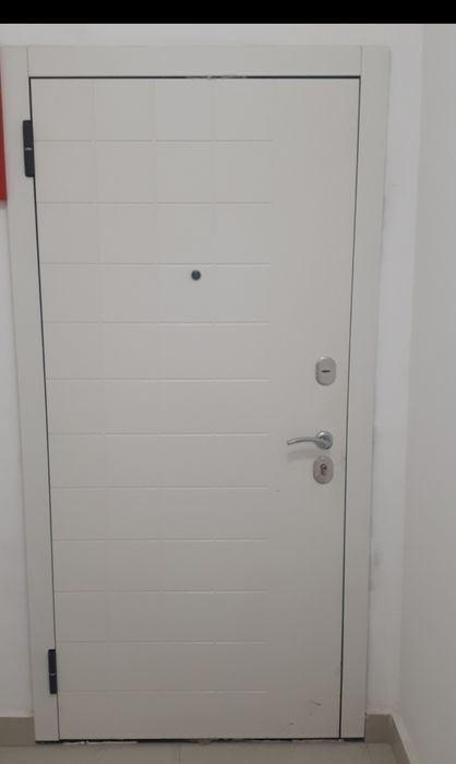 Входная дверь металлическая