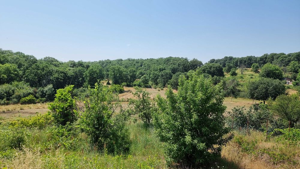 ПАРЦЕЛ В МЕСТНОСТ Габера Димитровград
