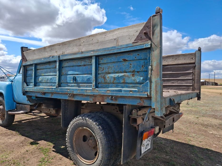 Сатам газон   52