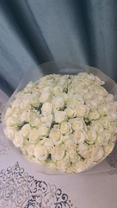 Продаю цветы свежие