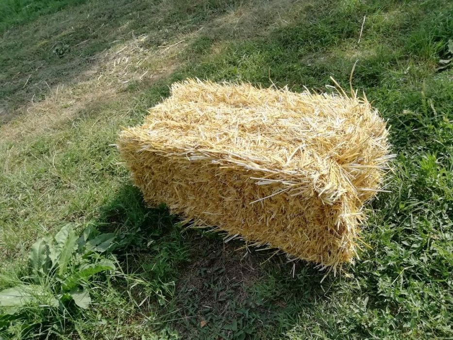 Бидай сабаны. Пшеничная салома