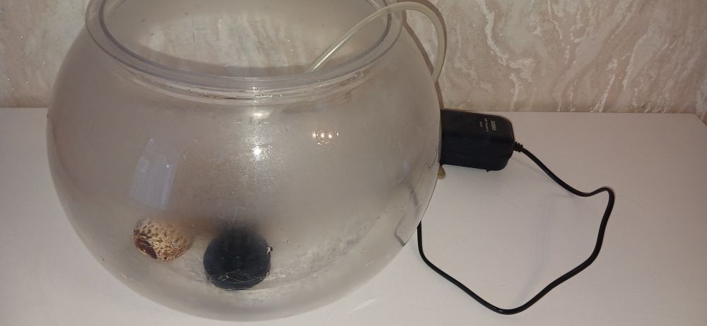 Аквариум, моторчик,ракушка.