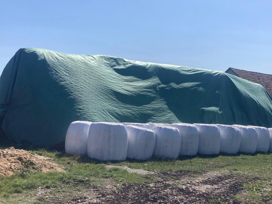 Baloți de fân 120×120 și baloți de lucernă înfoliată.