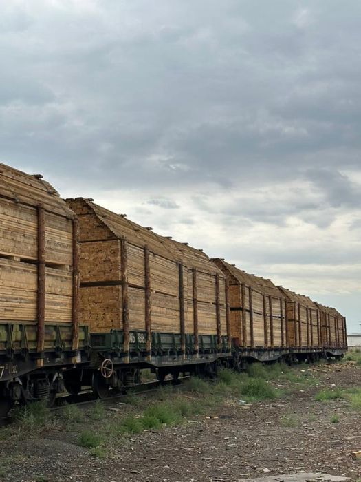 Агаш пиломатериал