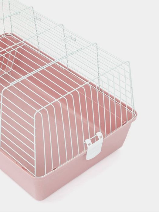 Uyda quyon boqishni hohlayotganlar uchun